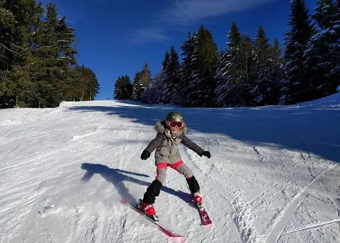 G1 Dans Avec Jardin, Proche Des Thermes Apartment Aix-les-Bains