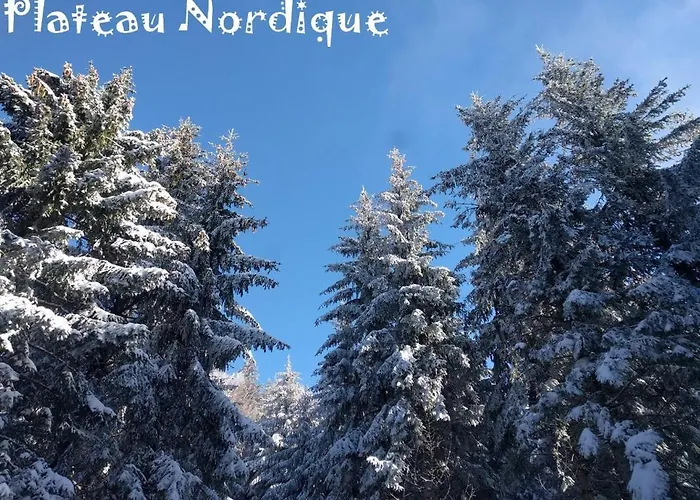 G1 Dans Avec Jardin, Proche Des Thermes アパート エクスレバン